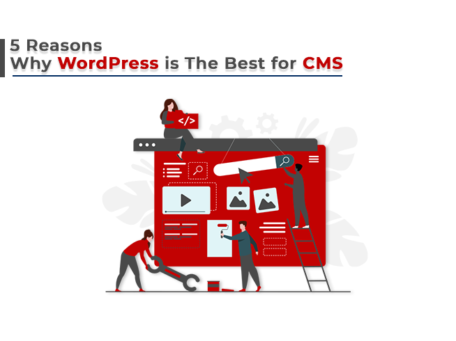 Reasons WordPress is the Best for CMS